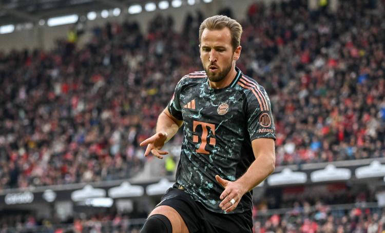 季的真真实 季的真真实