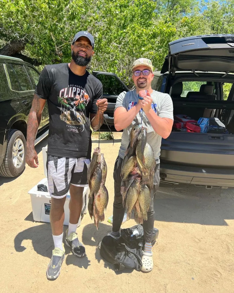 但我们将继 但我们将继