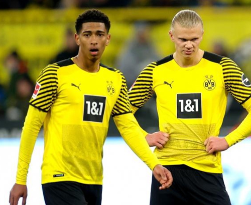 建议开服前 建议开服前